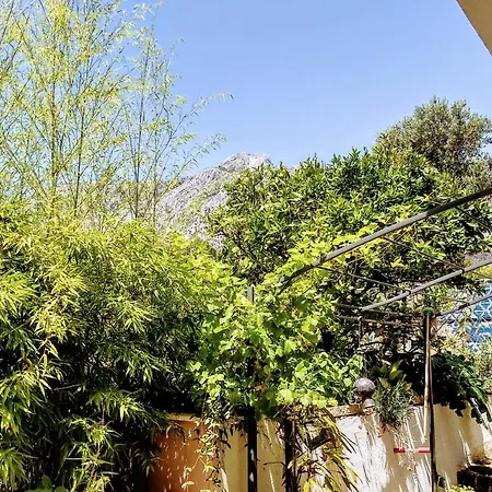 Spacious Garden House, * Orebic